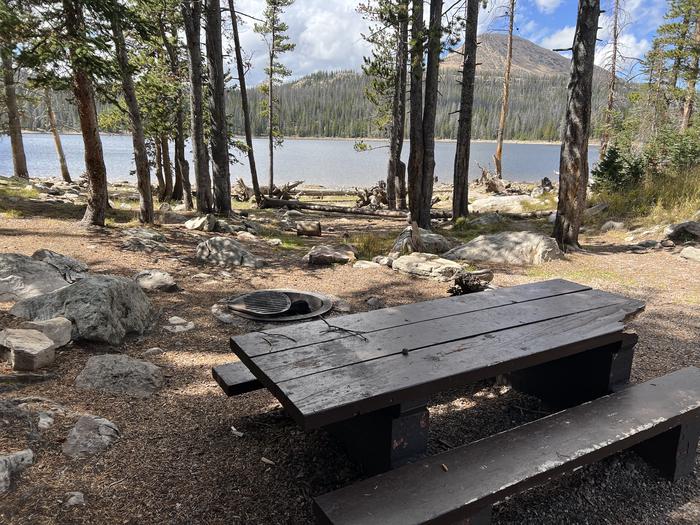 A photo of Site 050 of Loop TRIA at TRIAL LAKE CAMPGROUND with Picnic Table, Fire Pit, Waterfront