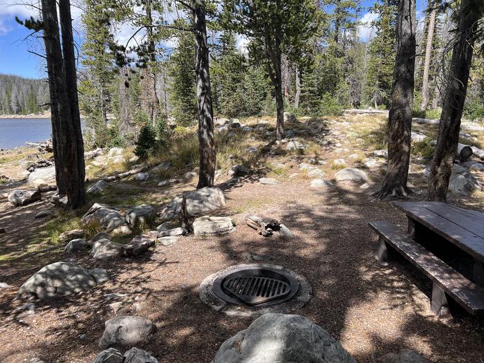 A photo of Site 050 of Loop TRIA at TRIAL LAKE CAMPGROUND with Picnic Table, Fire Pit, Waterfront