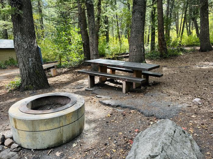 Picnic Table and Fire Ring 2