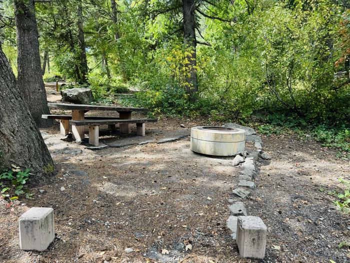 Picnic Table and Fire Ring