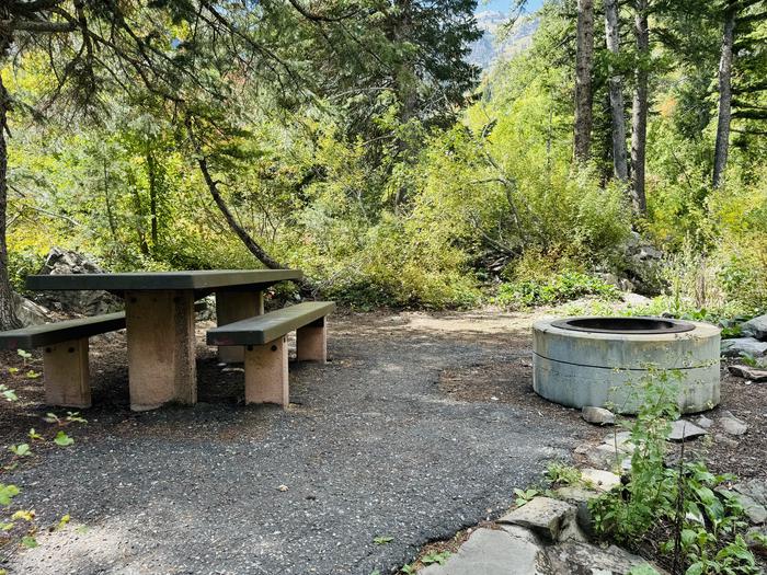 Picnic Table and Fire Ring