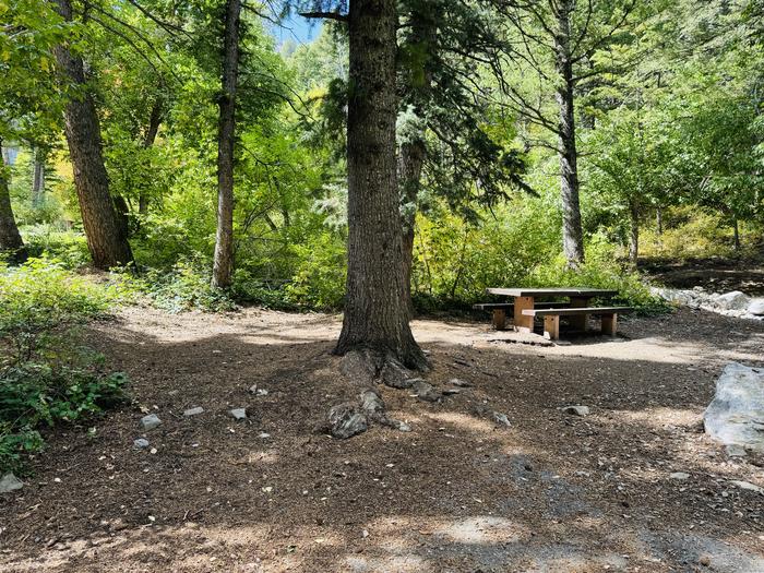 Tent Pad and Picnic Table