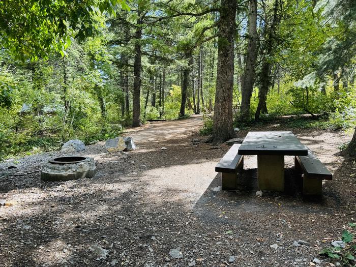 Picnic Table, Grill, Fire Ring 2