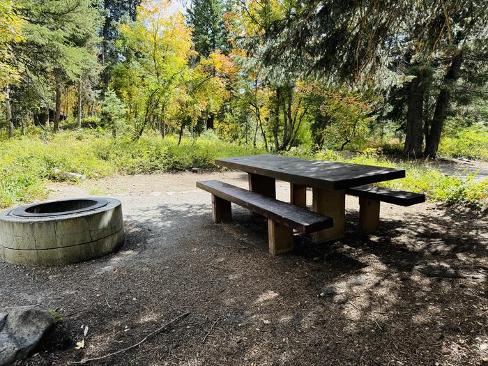 Picnic Table and Fire Ring