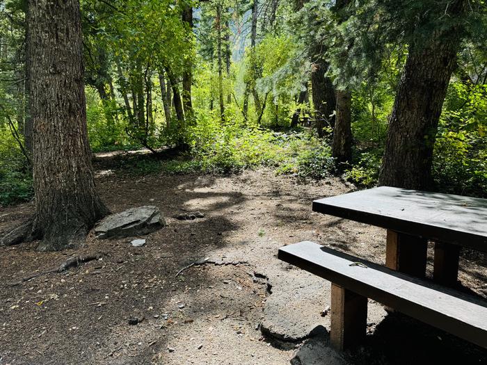 Tent Pad and Picnic Table 2