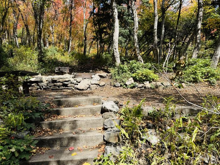 Stairs to Picnic Table