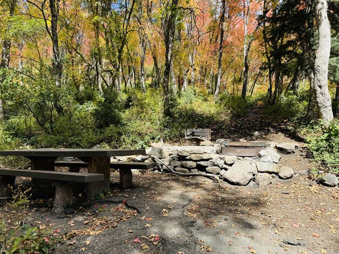 Picnic Table and Fire Ring