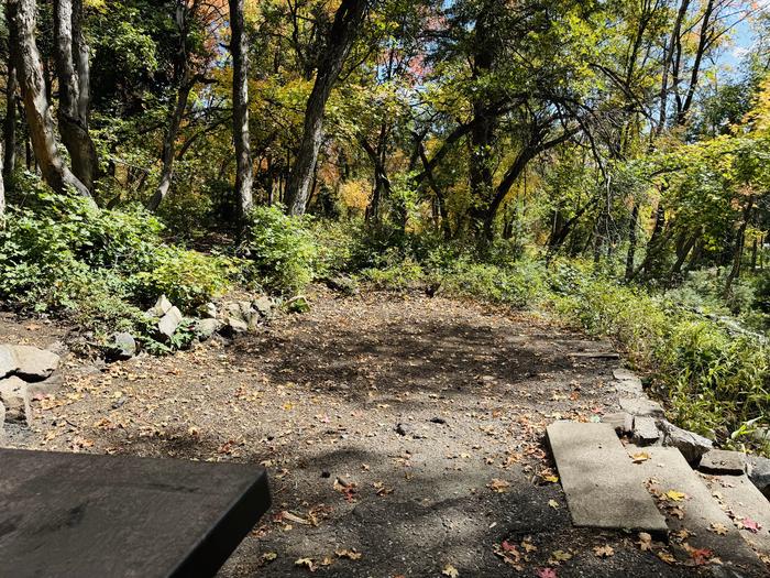 Picnic Table and Stairs