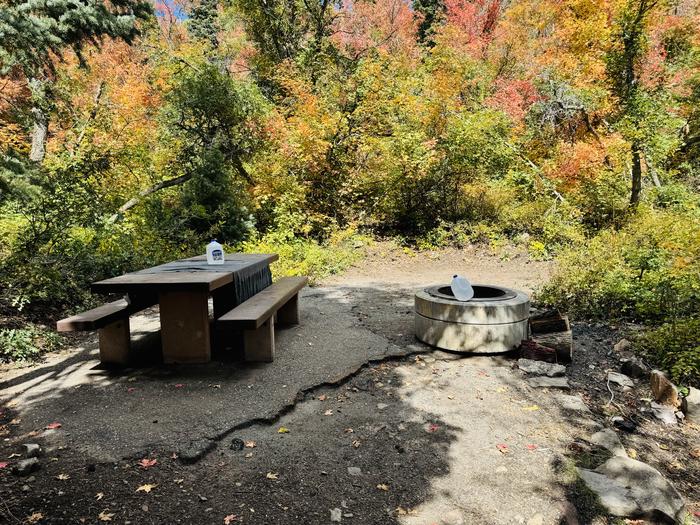 Picnic Table and Fire Ring