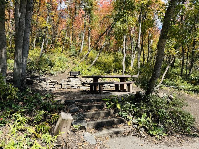 A photo of Site 023 of Loop TIMP at MT. TIMPANOGOS with Picnic Table