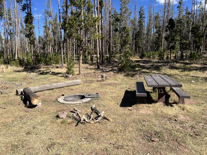 A photo of Site 12 of Loop CHINA at China Meadows Trailhead Campground with Picnic Table, Fire Pit