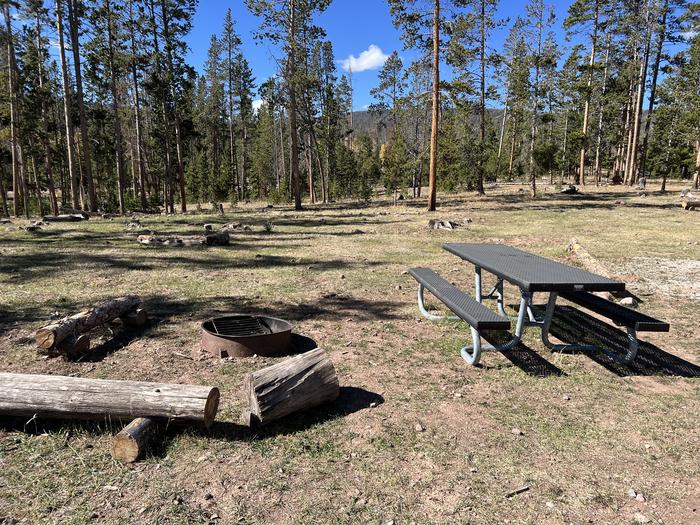 A photo of Site 13 of Loop China at China Meadows Trailhead Campground with Picnic Table, Fire Pit