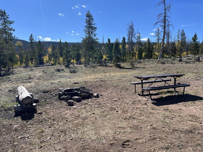 A photo of Site 16 of Loop China at China Meadows Trailhead Campground with Picnic Table, Fire Pit