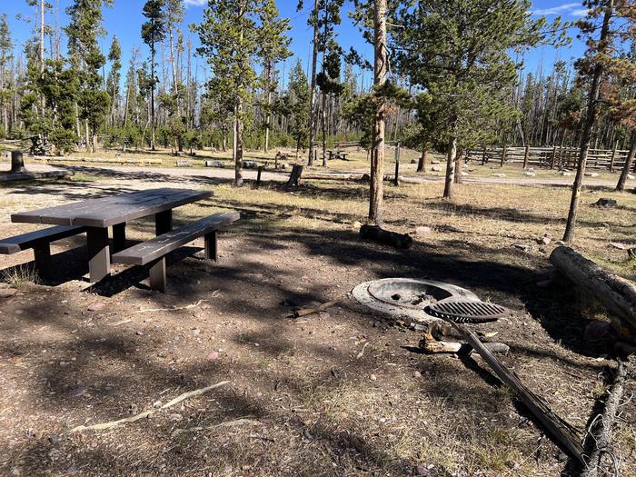 A photo of Site 9 of Loop CHINA at China Meadows Trailhead Campground with Picnic Table, Fire Pit