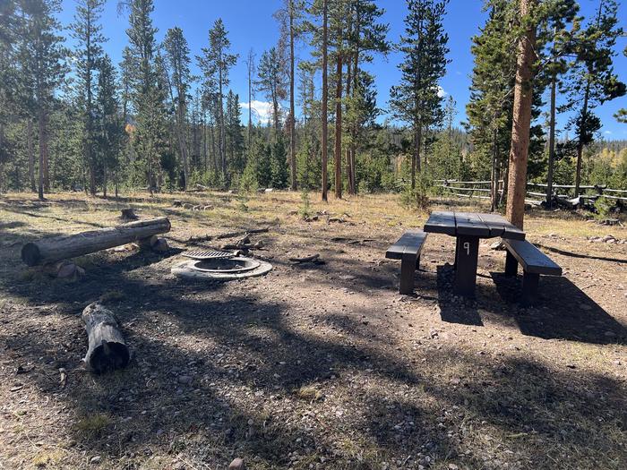 A photo of Site 9 of Loop CHINA at China Meadows Trailhead Campground with Picnic Table, Fire Pit