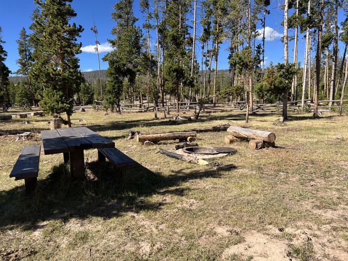 A photo of Site 10 of Loop CHINA at China Meadows Trailhead Campground with Picnic Table, Fire Pit