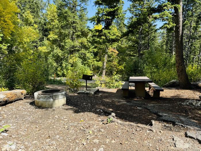 Picnic Table, Grill, Fire Ring