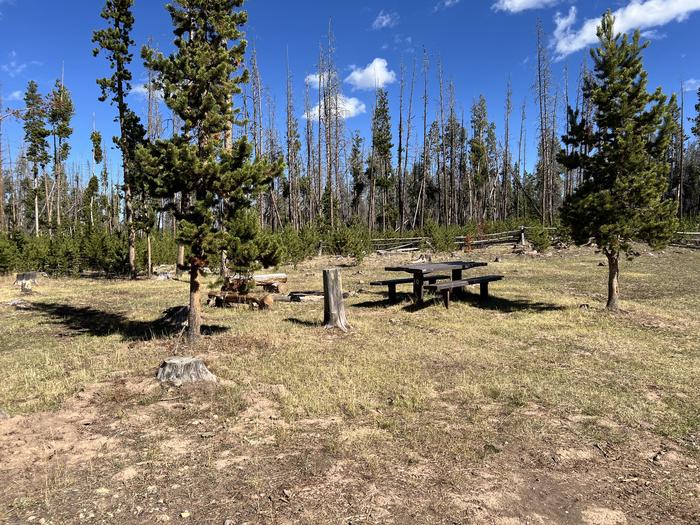 A photo of Site 10 of Loop CHINA at China Meadows Trailhead Campground with Picnic Table