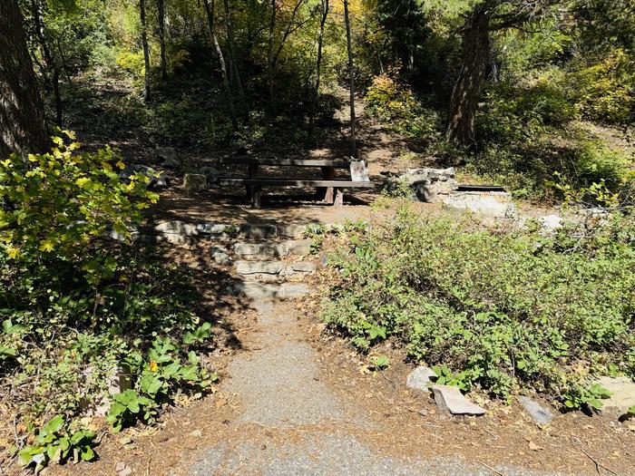 Stairs to Picnic Table