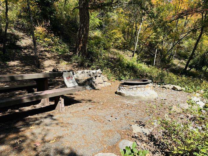 Picnic Table and Fire Ring