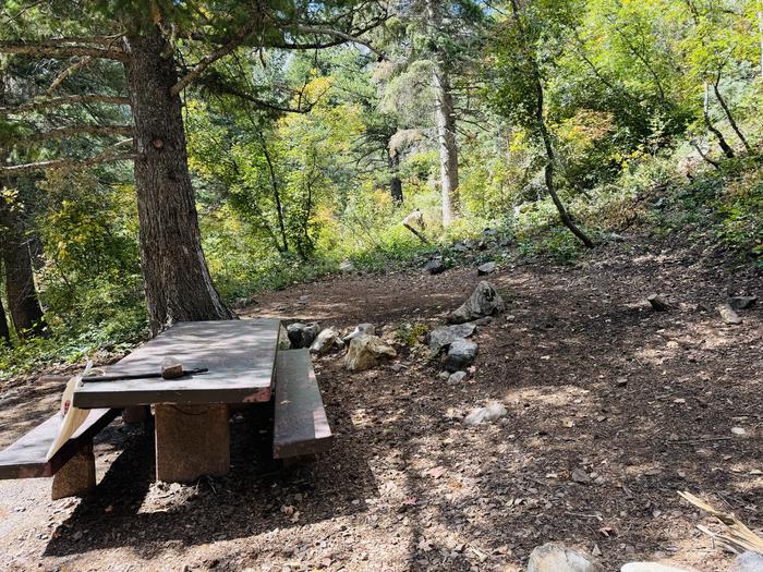 Tent Pad and Picnic Table