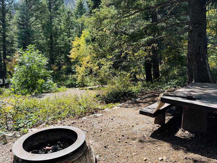 Picnic Table and Fire Ring 2Picnic Table and Fire Ring