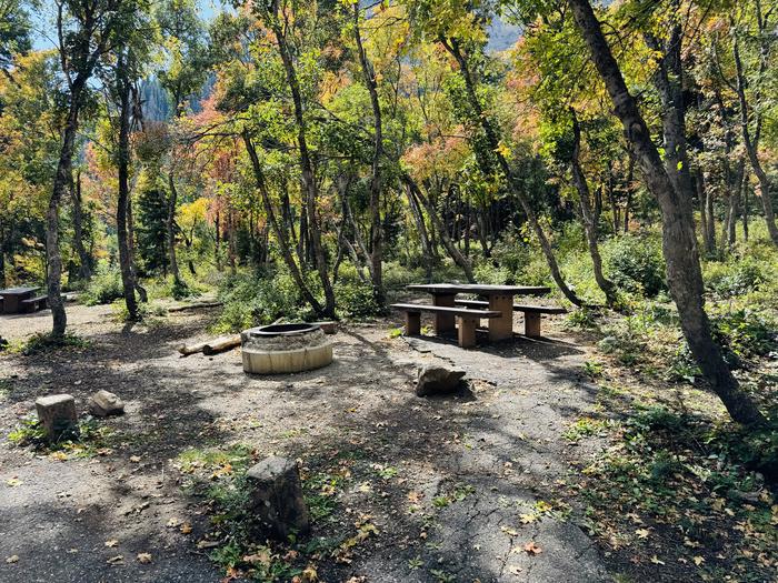 Picnic Table and Fire Ring