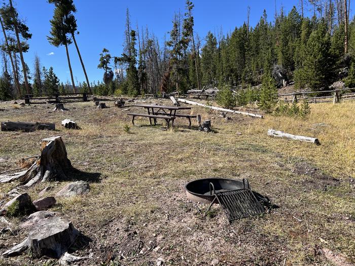 A photo of Site 4 of Loop CHINA at China Meadows Campground with Picnic Table, Fire Pit