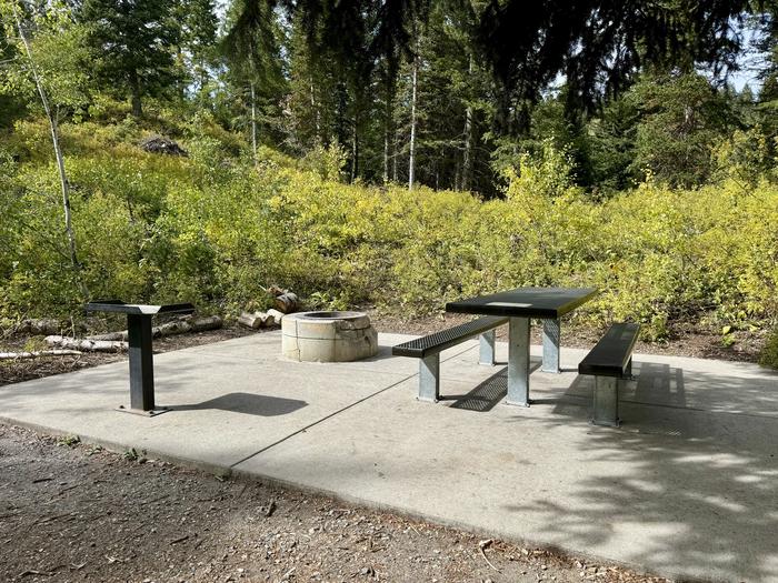 Picnic Table and Fire Ring