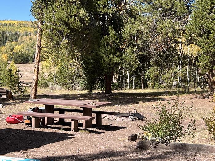 A photo of Site 12 of Loop MEEKS at Meeks Cabin Campground with Picnic Table, Fire Pit