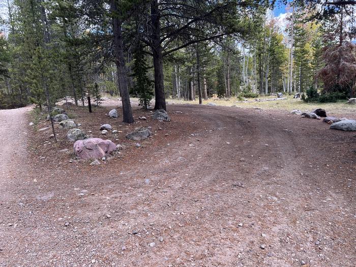 A photo of Site 10 of Loop LYMAN at Little Lyman Lake Campground with No Amenities Shown