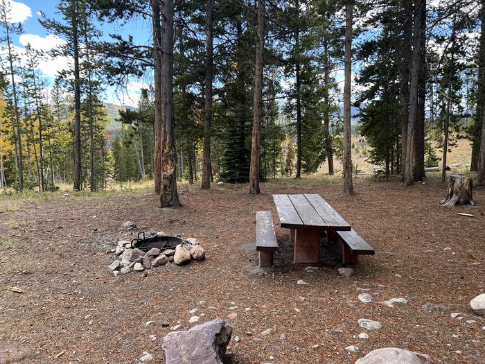 A photo of Site 10 of Loop LYMAN at Little Lyman Lake Campground with Picnic Table, Fire Pit