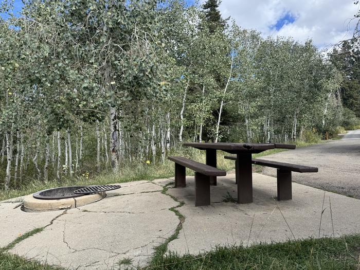 A photo of Site C11 of Loop C at PAYSON LAKES with Picnic Table, Fire Pit