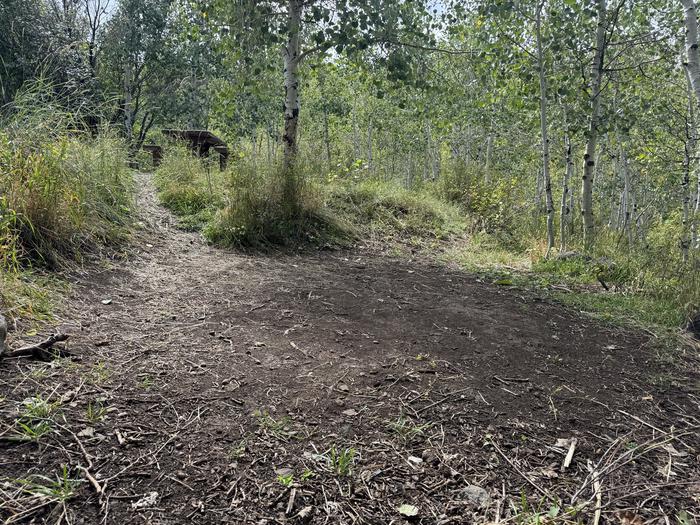 A photo of Site C11 of Loop C at PAYSON LAKES with Tent Pad