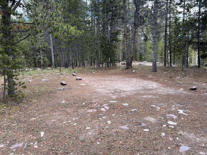 A photo of Site 1 of Loop LYMAN at Little Lyman Lake Campground with No Amenities Shown