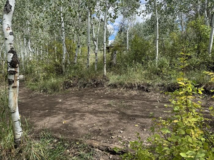 A photo of Site C11 of Loop C at PAYSON LAKES with Tent Pad