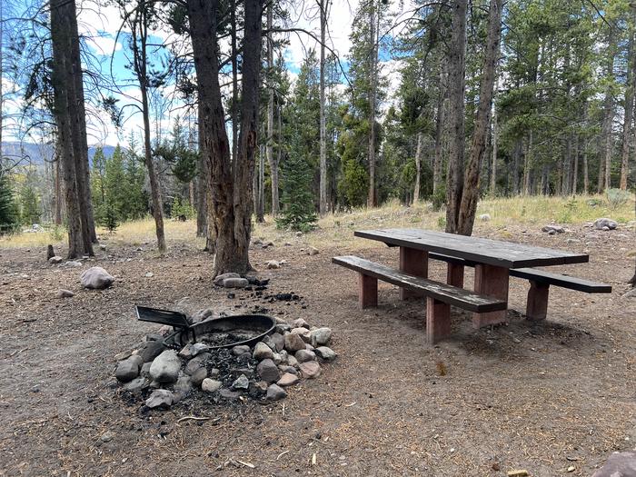 A photo of Site 8 of Loop LYMAN at Little Lyman Lake Campground with Picnic Table, Fire Pit