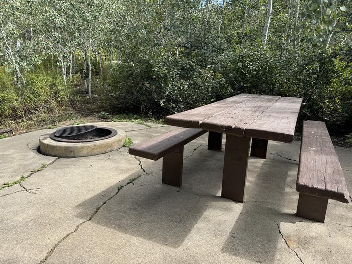 A photo of Site C10 of Loop C at PAYSON LAKES with Picnic Table, Fire Pit