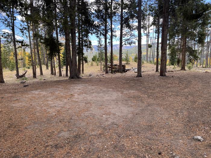 A photo of Site 8 of Loop LYMAN at Little Lyman Lake Campground with No Amenities Shown