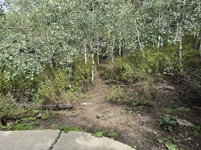 A photo of Site C10 of Loop C at PAYSON LAKES with Tent Pad