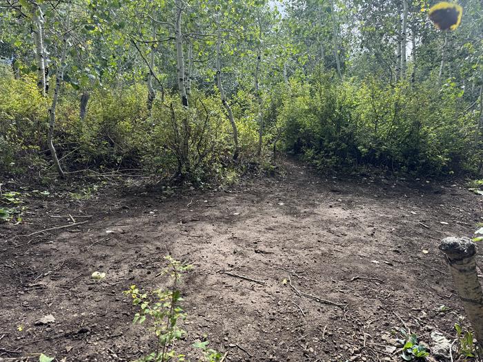 A photo of Site C10 of Loop C at PAYSON LAKES with Tent Pad