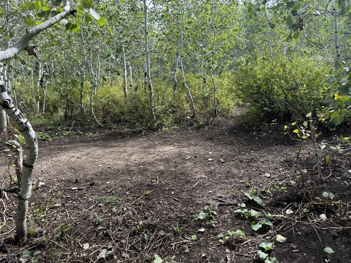 A photo of Site C10 of Loop C at PAYSON LAKES with Tent Pad