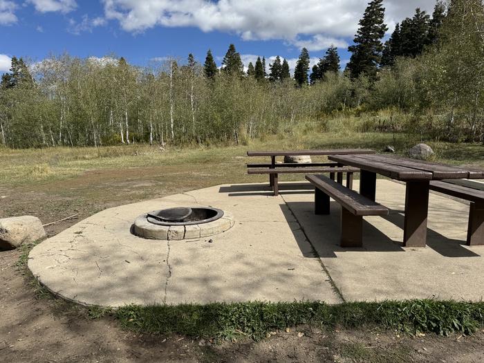 A photo of Site C20/21 of Loop C at PAYSON LAKES with Picnic Table, Fire Pit, Tent Pad