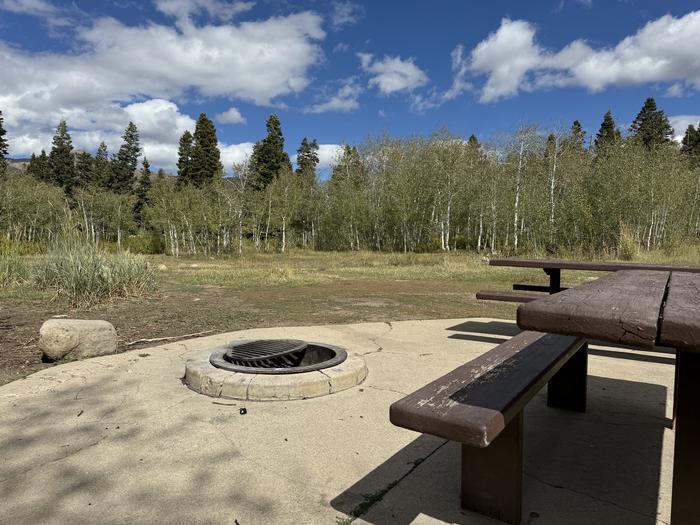 A photo of Site C20/21 of Loop C at PAYSON LAKES with Picnic Table, Fire Pit, Tent Pad