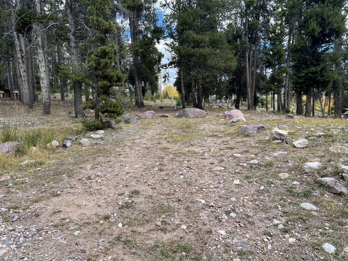 A photo of Site 6 of Loop LYMAN at Little Lyman Lake Campground with No Amenities Shown