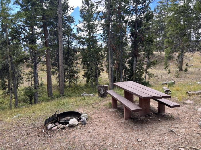 A photo of Site 6 of Loop LYMAN at Little Lyman Lake Campground with Picnic Table, Fire Pit