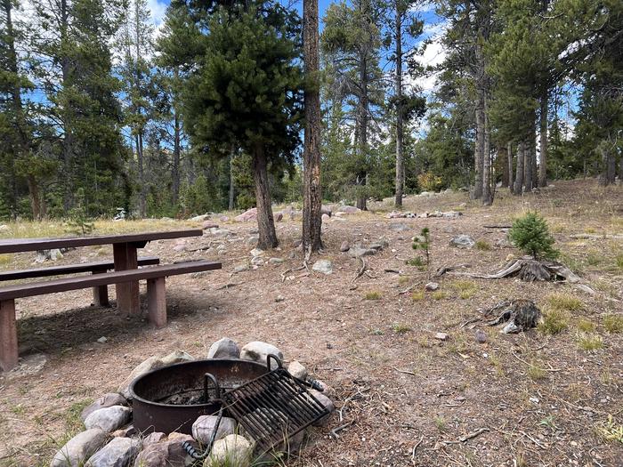 A photo of Site 6 of Loop LYMAN at Little Lyman Lake Campground with Picnic Table, Fire Pit