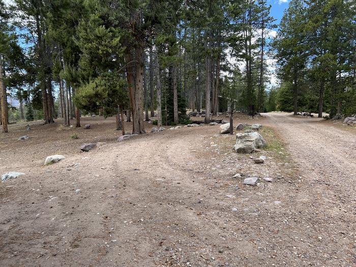 A photo of Site 9 of Loop LYMAN at Little Lyman Lake Campground with No Amenities Shown