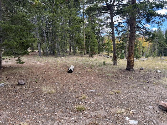 A photo of Site 9 of Loop LYMAN at Little Lyman Lake Campground with No Amenities Shown