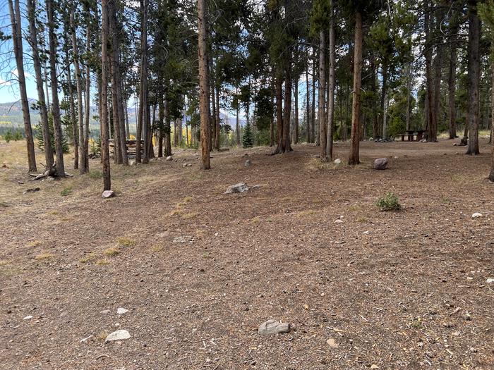 A photo of Site 9 of Loop LYMAN at Little Lyman Lake Campground with No Amenities Shown